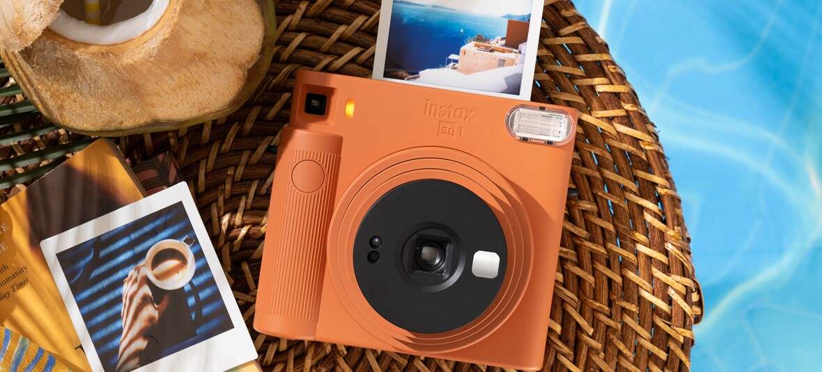 Polaroid Memories & Turtle Surprises