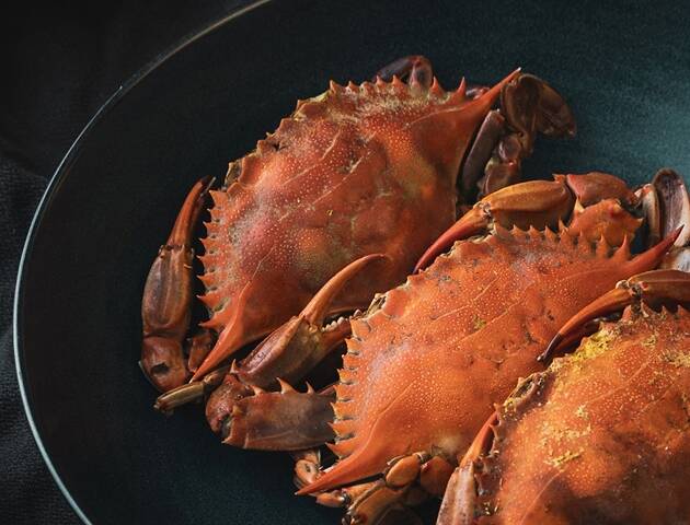 シャングリ ラ ホテル ザ マリーナ ケアンズ ケアンズ ケアンズの五つ星ホテル