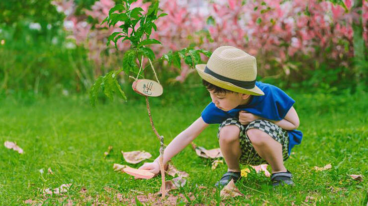 Tree Planting