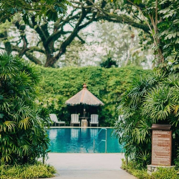 Luxury Hotel In Penang Shangri La Rasa Sayang Penang